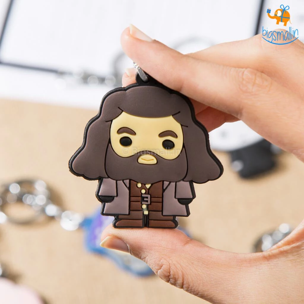 Bigsmall_hmk Harry Potter Characters Keychain All Of It