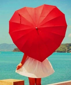 VinnyC Heart Umbrella