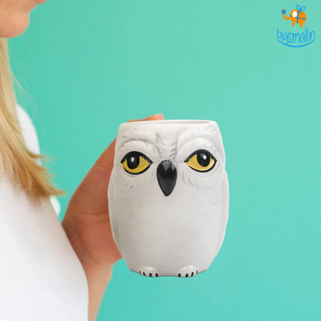 Big Daddy All Of It Hedwig Owl Mug