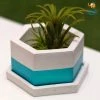 Elite Earth Gurpreet Hexagon Concrete Planter With Tray Corporate
