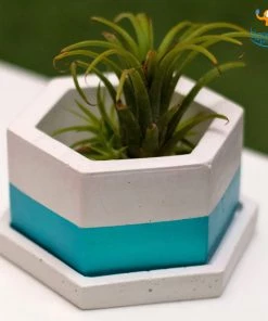 Elite Earth Gurpreet Hexagon Concrete Planter With Tray Corporate