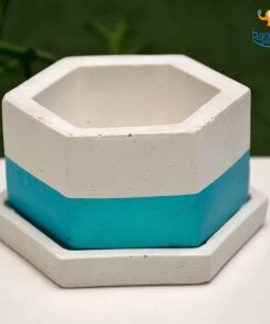 Elite Earth Gurpreet Hexagon Concrete Planter With Tray Corporate
