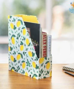 Ascetic Lemon Printed File Keeper Sale
