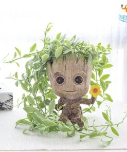 Bigsmall_hmk Little Groot Holder