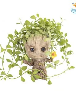 Bigsmall_hmk Little Groot Holder