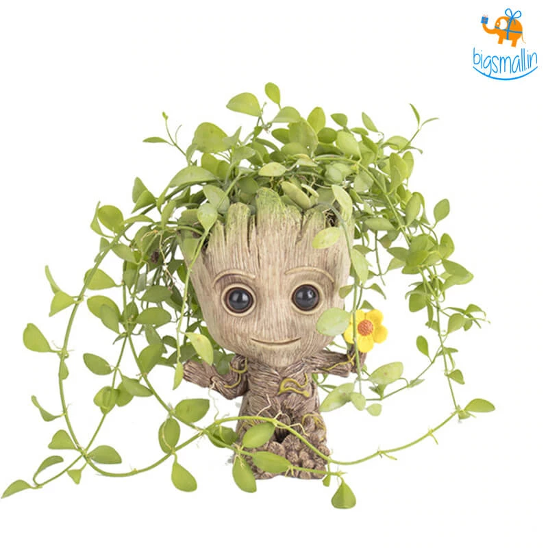 Bigsmall_hmk Little Groot Holder