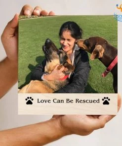 Chitra Chaya Personalized Pets Love Frame | COD Not Available