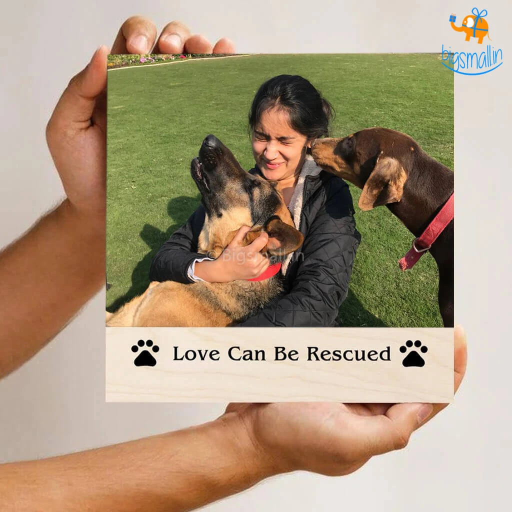 Chitra Chaya Personalized Pets Love Frame | COD Not Available