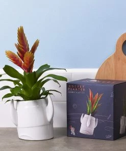 Luckies Father's Day Rocket Planter