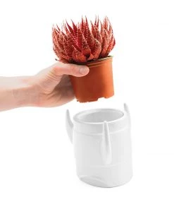 Luckies Father's Day Rocket Planter