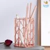 Bigsmall Rose Gold Metallic Pen Stand All Of It