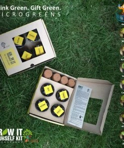 Dream Beans Corporate Grow It Yourself Kit - Microgreens