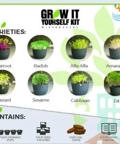 Dream Beans Corporate Grow It Yourself Kit - Microgreens