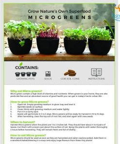 Dream Beans Corporate Grow It Yourself Kit - Microgreens