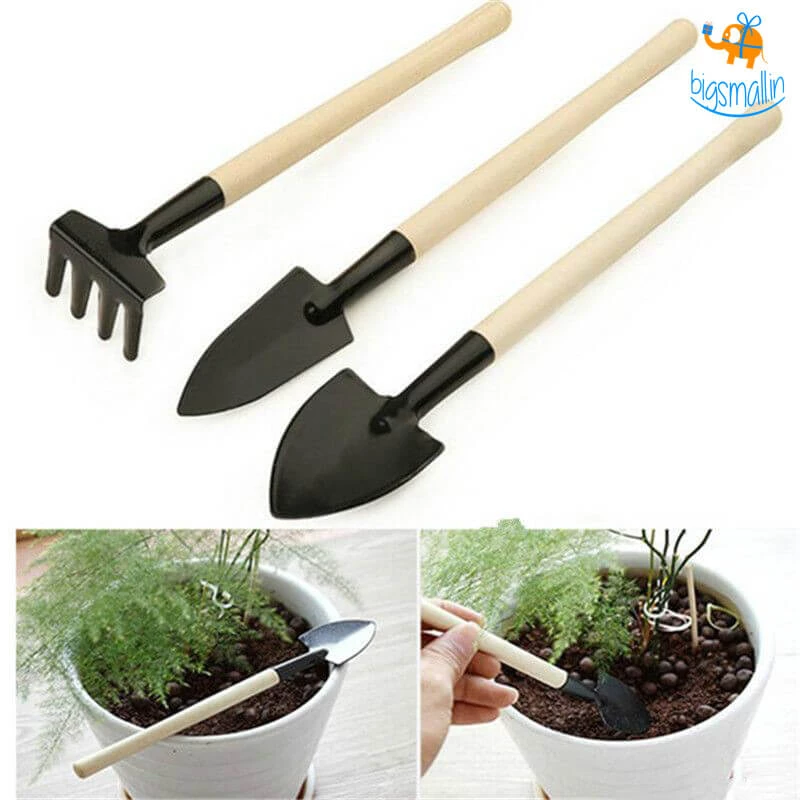 Big Daddy Miniature Garden Tool Kit - 3 Pcs All Of It