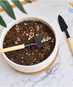 Big Daddy Miniature Garden Tool Kit - 3 Pcs All Of It