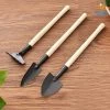 Big Daddy Miniature Garden Tool Kit - 3 Pcs All Of It