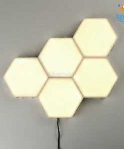 Coral Tree Father's Day Modular Touch Lights