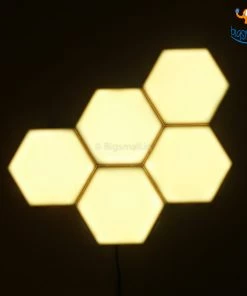 Coral Tree Father's Day Modular Touch Lights