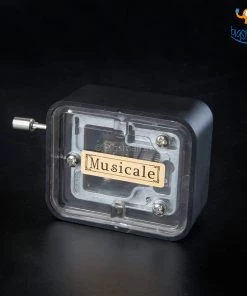 AmyLi Pink Panther Music Box All Of It