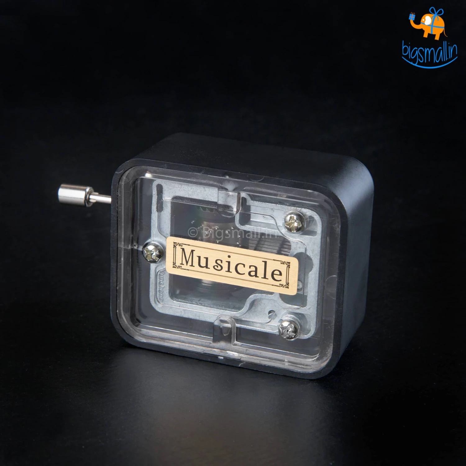 AmyLi Pink Panther Music Box All Of It