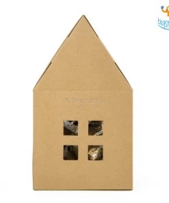 Ascetic Paper Home Fairy Lights Sale