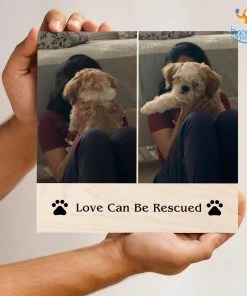 Chitra Chaya Personalized Pets Love Frame | COD Not Available