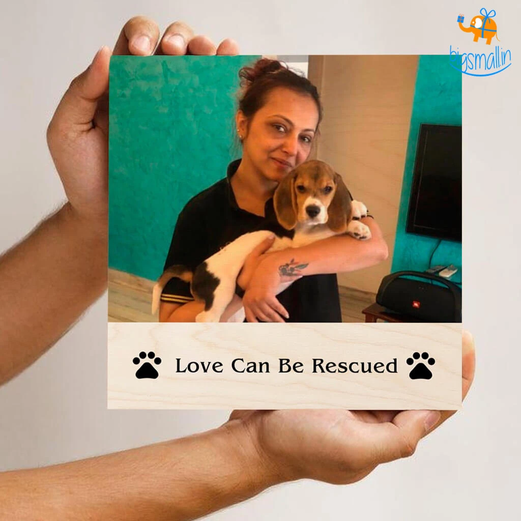 Chitra Chaya Personalized Pets Love Frame | COD Not Available