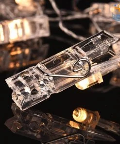 Coral Tree Photo Clip String LED Lights