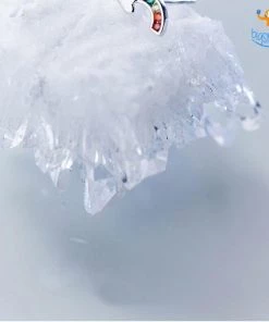 AmyLi All Of It Rainbow Ear Studs