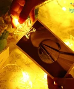 Bigsmall All Of It Star Clip LED String Lights