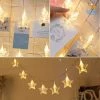 Bigsmall All Of It Star Clip LED String Lights