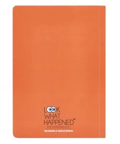 LookWhatHappened Zodiac Sign Diaries