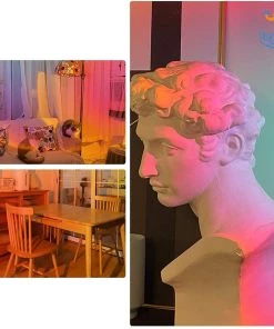 Coral Tree All Of It Sunset Projection Lamp