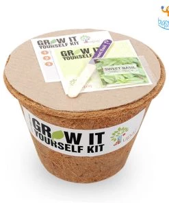 Dream Beans Corporate Vegetable Large Grow It Yourself Kit