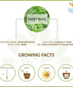 Dream Beans Corporate Vegetable Large Grow It Yourself Kit