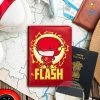 Bigsmall.in The Flash Passport Holder All Of It
