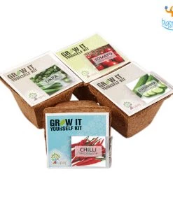 Dream Beans Grow It Yourself Kit - Vegetable Garden (Pack Of 4)