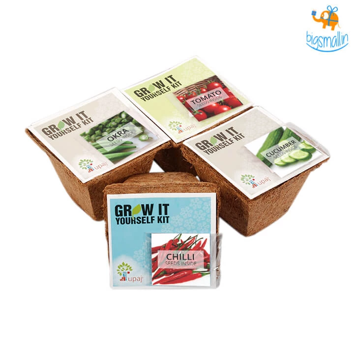 Dream Beans Grow It Yourself Kit - Vegetable Garden (Pack Of 4)