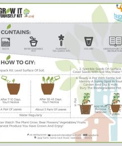 Dream Beans Grow It Yourself Kit - Vegetable Garden (Pack Of 4)