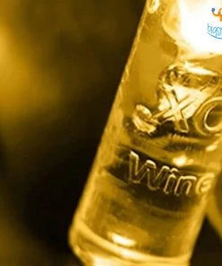 PunitSB All Of It Wishing Bottle String Lights