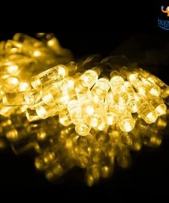 PunitSB All Of It Wishing Bottle String Lights