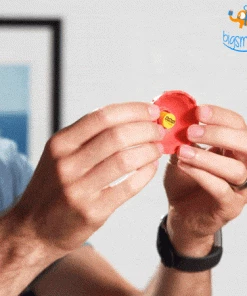 Dream Beans ZeeBeez Bouncing Top All Of It